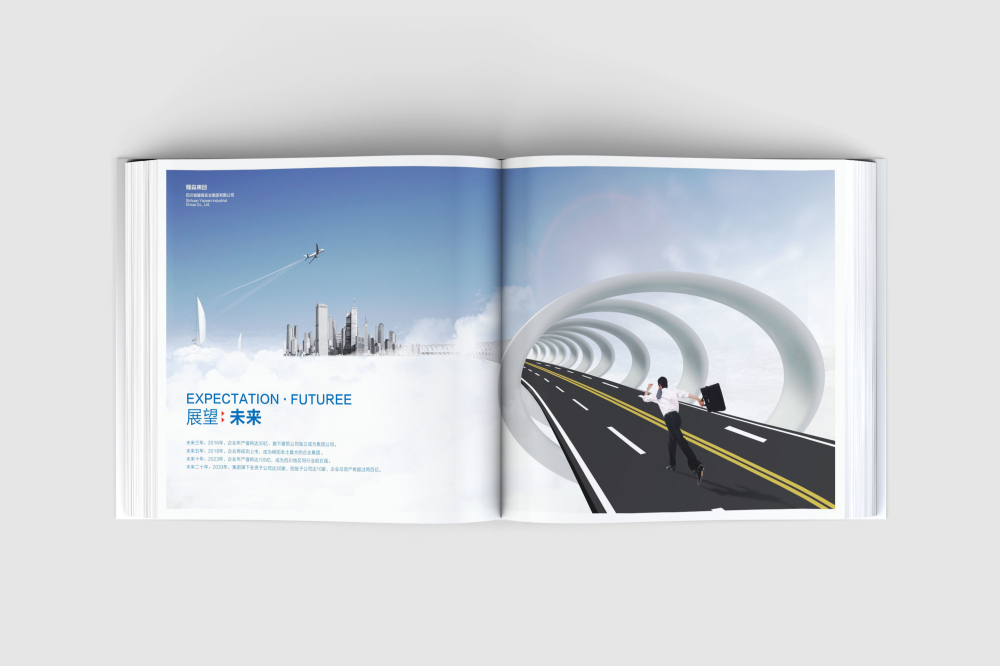 太和县画册设计